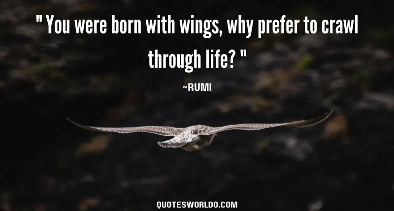 inspirational quote of Rumi on Life urging individuals to embrace their potential and live life to the fullest. The quote reads: "You were born with wings, why prefer to crawl through life?"